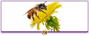 Urgent Care for Allergy Management Near Me in Rockville, MD Urgent Care for Allergy Management Near Me in Rockville, MD