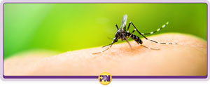 Urgent Care for Insect Bites and Stings Treatment Near Me in Rockville, MD